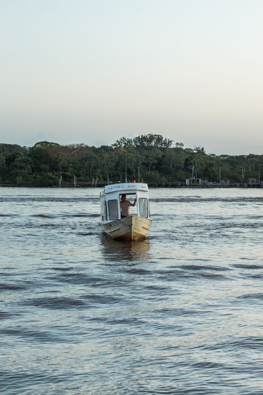 Floresta Amazônica e rio sinuoso ao amanhecer