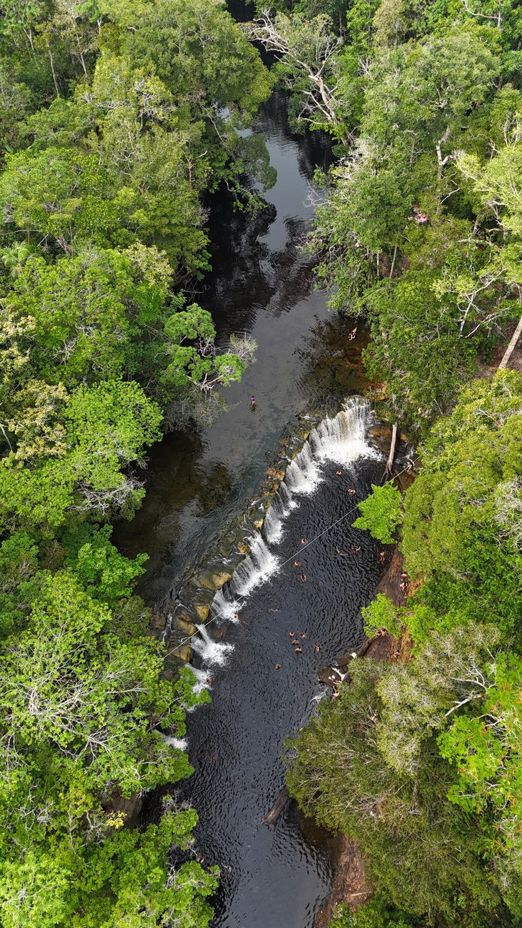 Paisagem exuberante e natural do Brasil